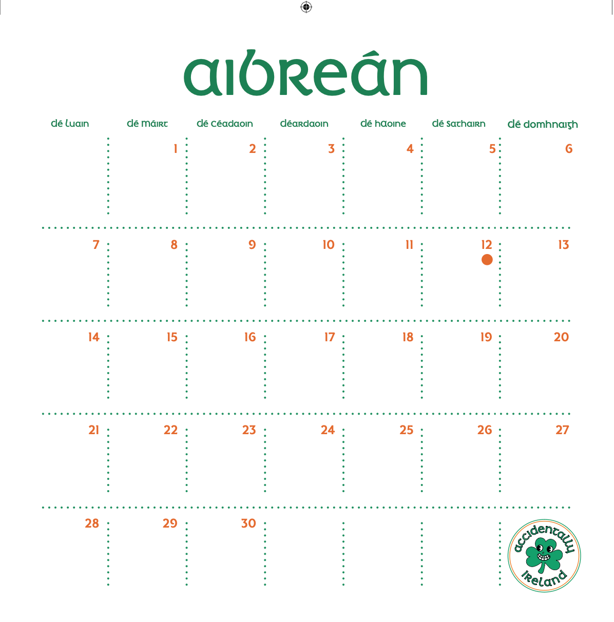 Accidentally Ireland 2025 Calendar